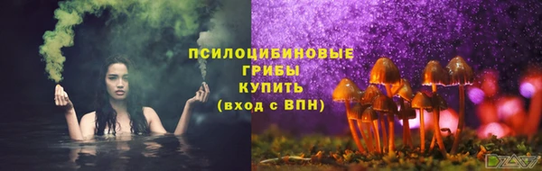 мяу мяу мука Анива