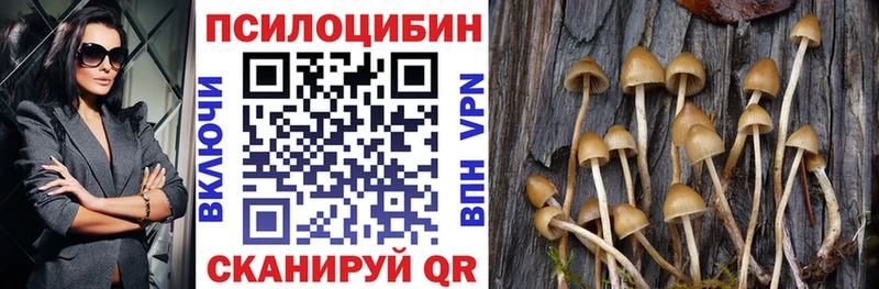 OMG ТОР  Грайворон  Псилоцибиновые грибы Psilocybine cubensis 